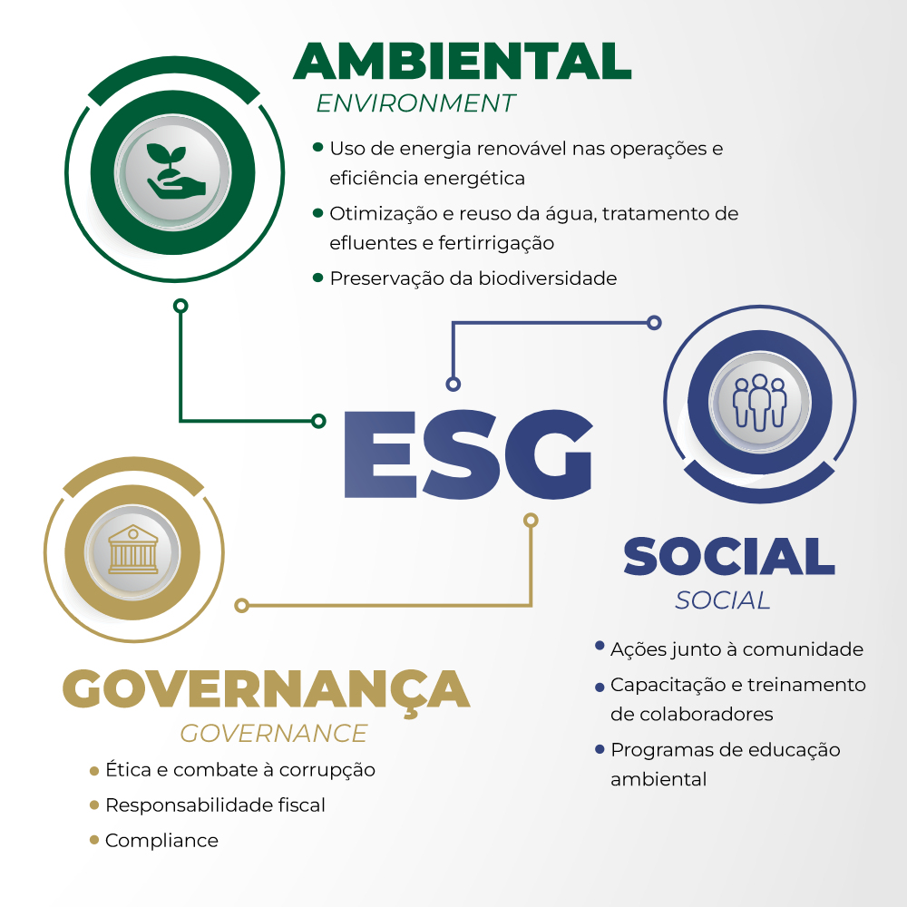 Identidade Corporativa